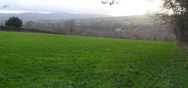 Lismacarol Lismacarol