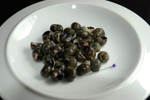 Winkles for tea